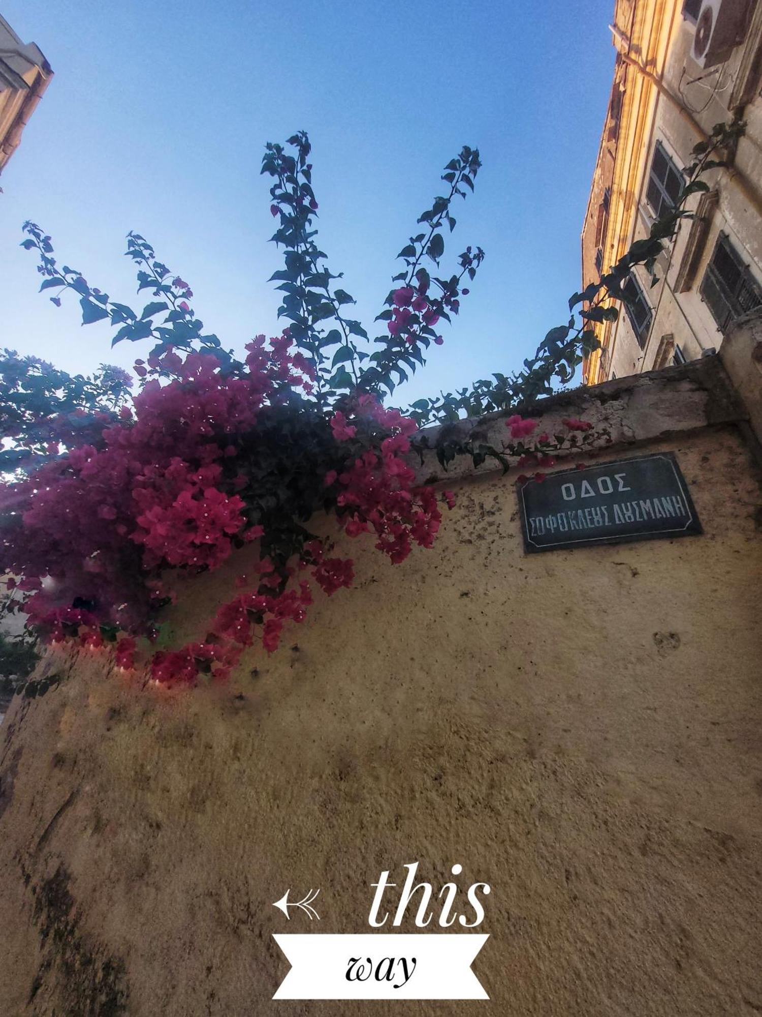 Nenas Volto Apartment Corfu  Bagian luar foto